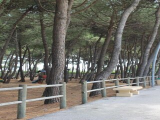 Appartement Alba Adriatica Omgeving 20