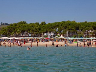 Apartment Alba Adriatica Umgebung 36