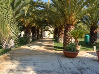 Vakantiehuis Barletta Buitenaudio-opname 8