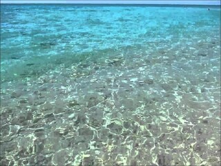 Casa per le vacanze Barletta Ambiente 20