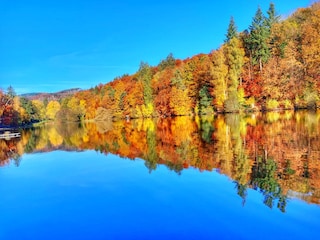 Apartamento de vacaciones Bad Sachsa Entorno 20