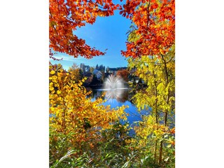 Appartamento per vacanze Bad Sachsa Ambiente 21