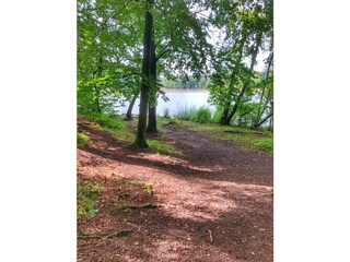 Apartamento de vacaciones Bad Sachsa Entorno 22