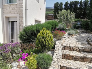 Villa Stanišovi Registrazione all'aperto 20