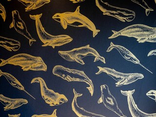 Ferienwohnung St. Peter-Ording Ausstattung 16