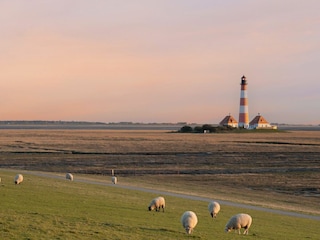 Ferienwohnung Westerhever Außenaufnahme 25