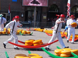 Casa de vacaciones Julianadorp Entorno 29