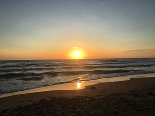 Maison de vacances Julianadorp Environnement 26