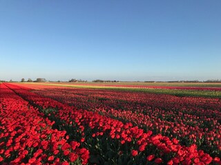 Casa per le vacanze Julianadorp Ambiente 20