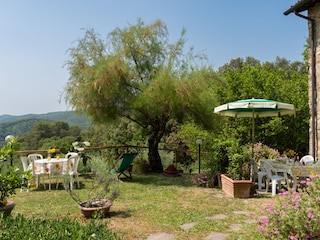 Ferienhaus Gambassi Terme Außenaufnahme 8