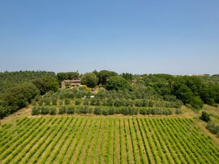 Holiday house Gambassi Terme Environment 33