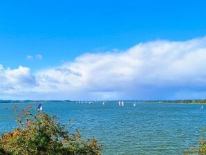 Ferienhaus Schleipanorama direkt am Wasser - Ostseefjord Schlei - Brodersby (Angeln) - image1
