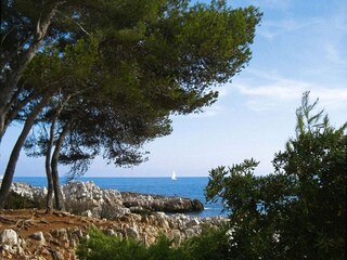 Ferienhaus Cagnes sur Mer Umgebung 22