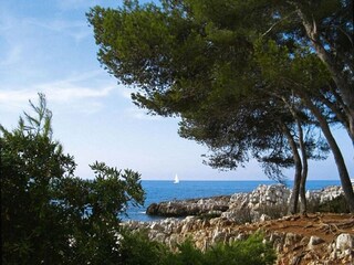 Ferienhaus Cagnes sur Mer Umgebung 26