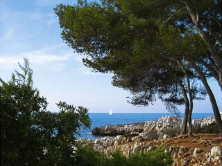 Maison de vacances Cagnes sur Mer Environnement 22