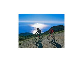 Parco vacanze Trogir Ambiente 17