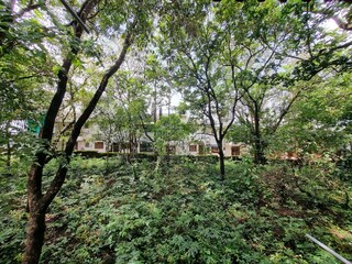 Appartement Anjuna Buitenaudio-opname 4