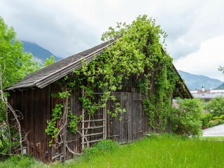 Appartement Ramsau im Zillertal Buitenaudio-opname 9