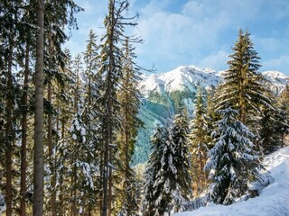 Apartamento Ramsau im Zillertal Entorno 31