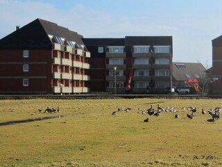Vakantieappartement Borkum Buitenaudio-opname 12