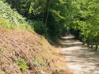 Cottage La Vall d'En Bas Außenaufnahme 18