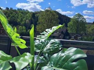 Holiday apartment Winterberg Outdoor Recording 34