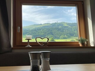 Chalet St. Jakob in Haus Caratteristiche 9