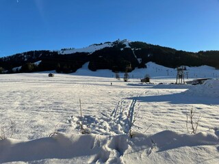 Chalet St. Jakob in Haus Ambiente 22