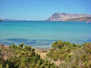 Parco vacanze Tanaunella Ambiente 16