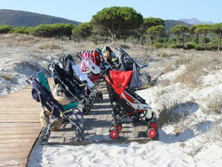 Parco vacanze Tanaunella Ambiente 25