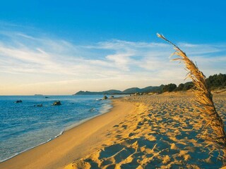 Parco vacanze Costa Rei Ambiente 20