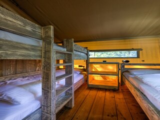 Parco vacanze Dalfsen Caratteristiche 17