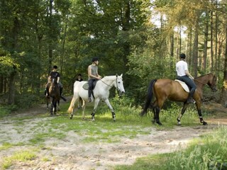 Parco vacanze Dalfsen Ambiente 23