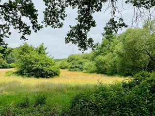 Vakantiepark Dalfsen Omgeving 34