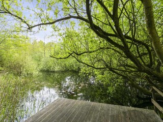 Holiday park Dalfsen Environment 33