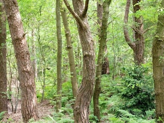 Vakantiepark Dalfsen Omgeving 25