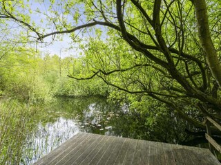 Ferienpark Dalfsen Umgebung 31