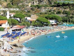 Apartment CAVOLI BEACH - CAVOLI BEACH - Seccheto - image1