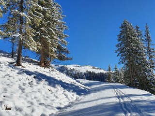 WInterwanderung