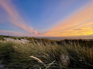 Dünen Langeoog