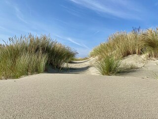 Ferienwohnung Langeoog Umgebung 4