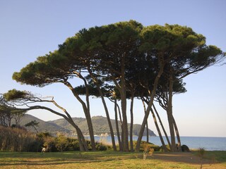Holiday house Venturina Terme Environment 15