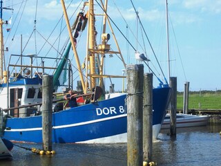 Ferienwohnung Dorum-Neufeld Außenaufnahme 9