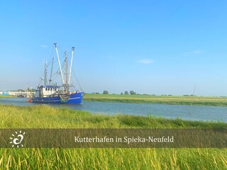 Ferienwohnung Dorum-Neufeld Umgebung 17