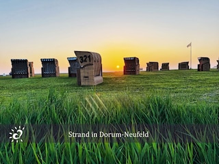 Ferienwohnung Dorum-Neufeld Umgebung 19