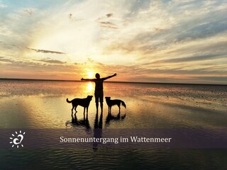 Ferienwohnung Dorum-Neufeld Außenaufnahme 11