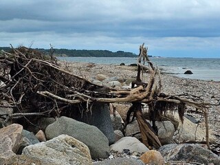 Ferienhaus Sydals  41