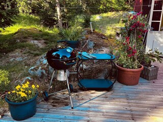 Holiday house Färgelanda Outdoor Recording 5