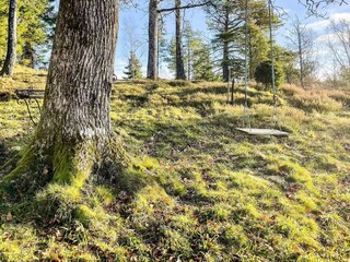 Ferienhaus Färgelanda  14