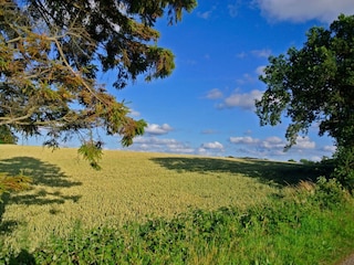 Ferienhaus Hejlsminde  13
